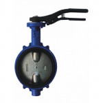 Затвор дисковый поворотный DN200 GIACOMINI R59WY020