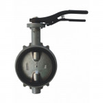 Затвор дисковый поворотный DN80 GIACOMINI R59WX008