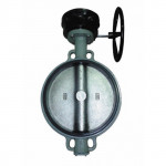 Затвор дисковый поворотный DN300 GIACOMINI R59WX030